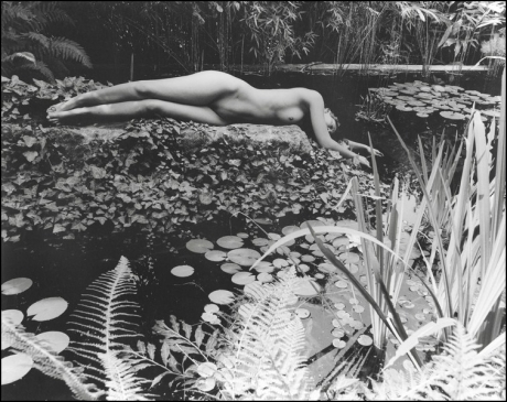 SOFAM - “The study of nude photography”