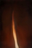 SOFAM - Fabrice Samyn