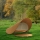 SOFAM - Louise Charlier - Design